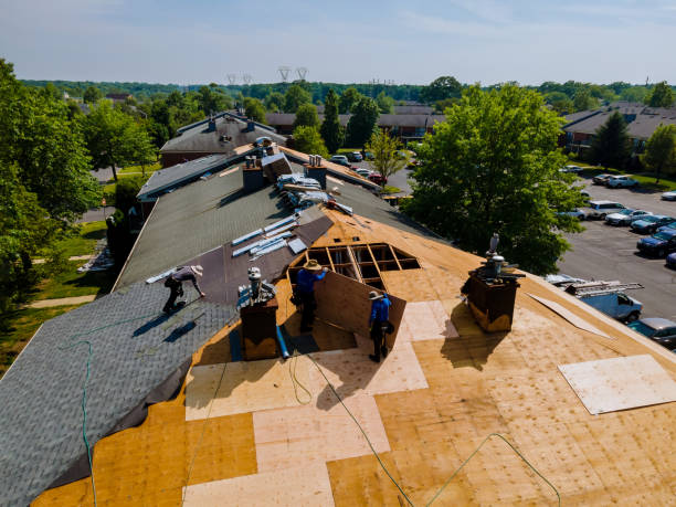 Best Flat Roof Repair Services  in Springfield, KY