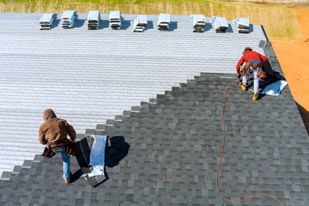Best Residential Roofing Contractor  in Springfield, KY