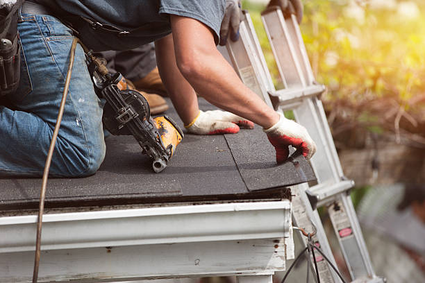 Best Metal Roofing Contractor  in Springfield, KY